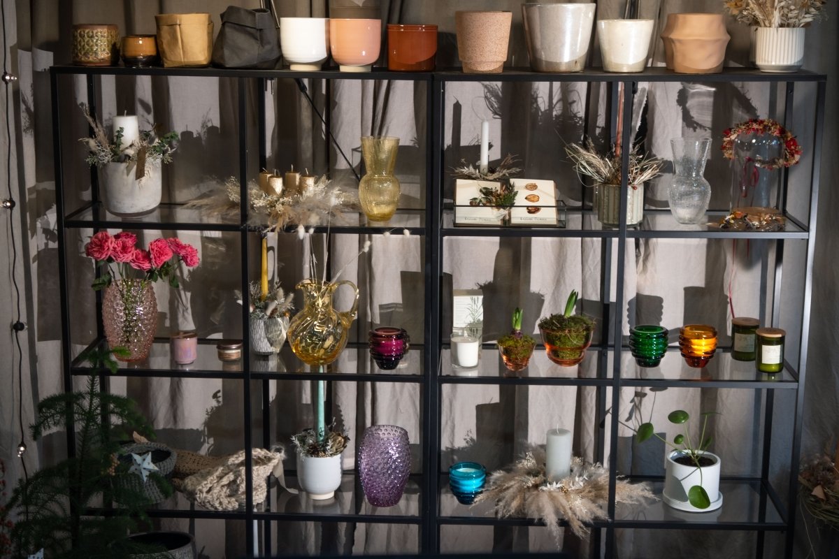 KLIMCHI x PROVONÍ - KLIMCHI