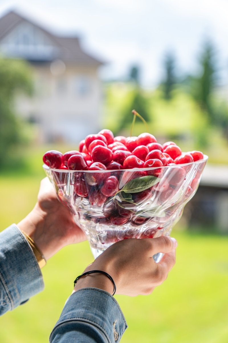 Crystal Royal Marika Medium Bowl - KLIMCHI