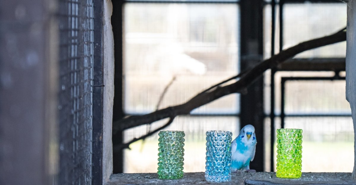 Beryl Hobnail Bud Vase - KLIMCHI