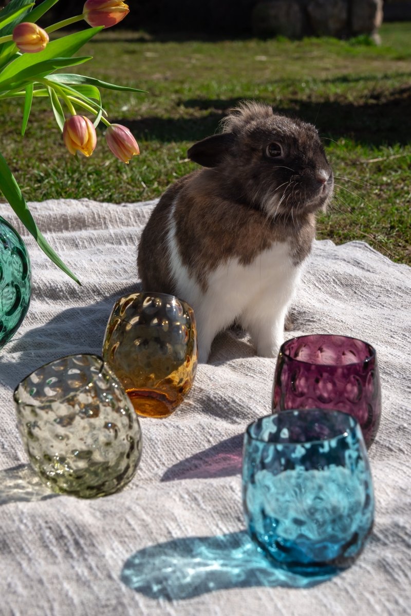 Mystery Box of Kugel Medium Tumblers - KLIMCHI