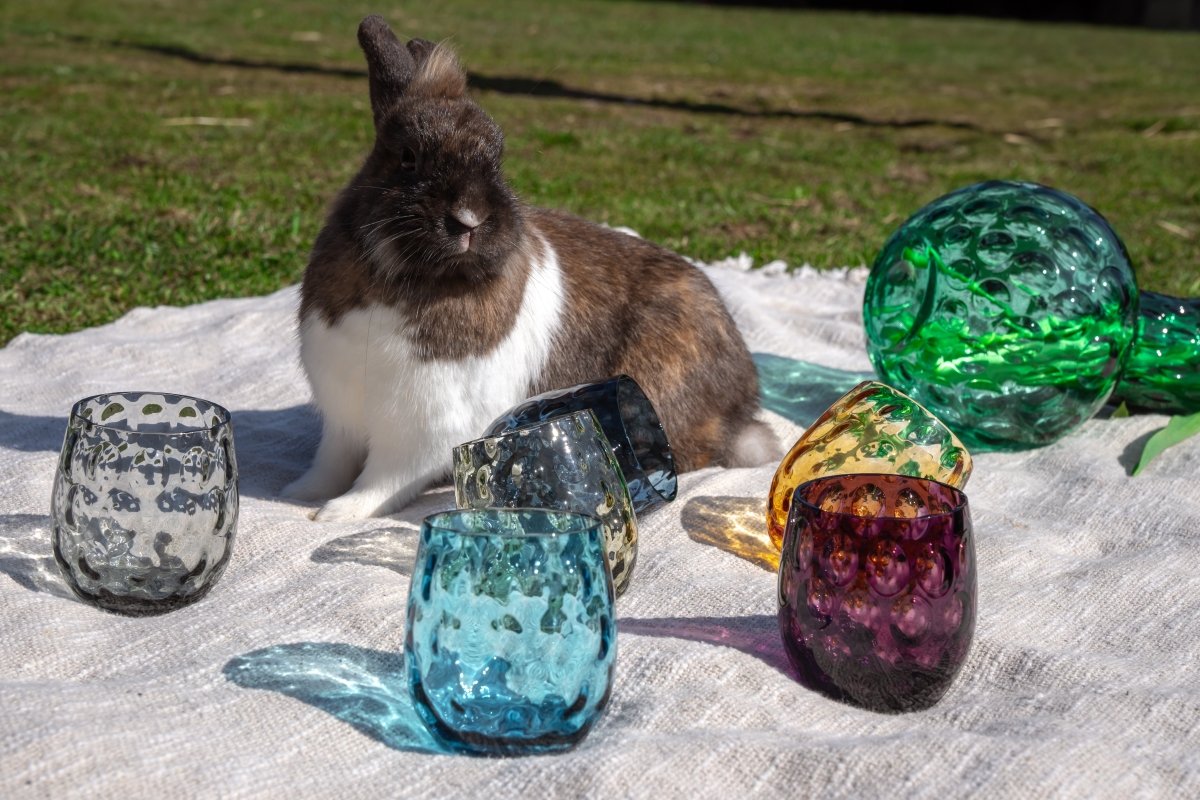 Mystery Box of Kugel Medium Tumblers - KLIMCHI